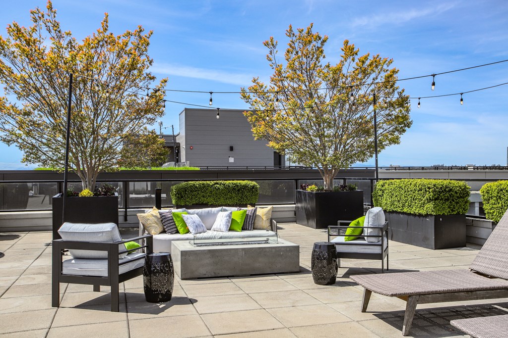 a patio with chairs and tables and trees on a roof