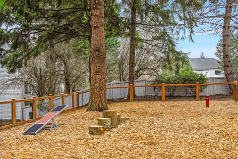 A playground with a slide, a tree, and a red fire hydrant.