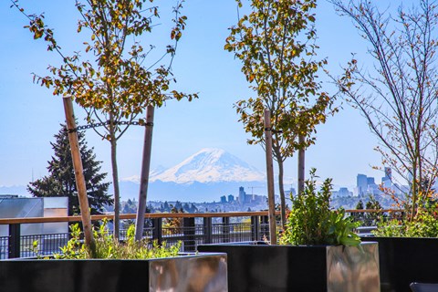 a view of mount fuji from a rooftop garden with trees and plants