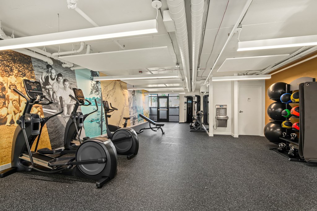 A gym with treadmills, exercise balls, and a wall with a mural.