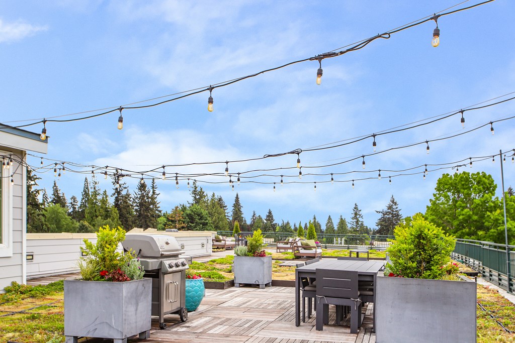 the patio has a grill and tables and chairs and a view of the trees