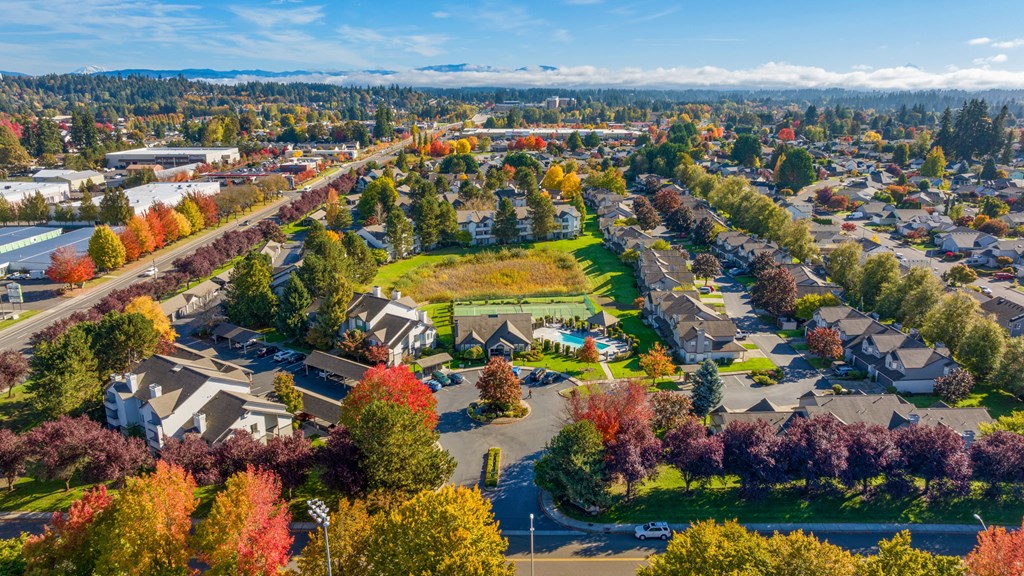A suburban neighborhood with houses and trees in autumn colors.