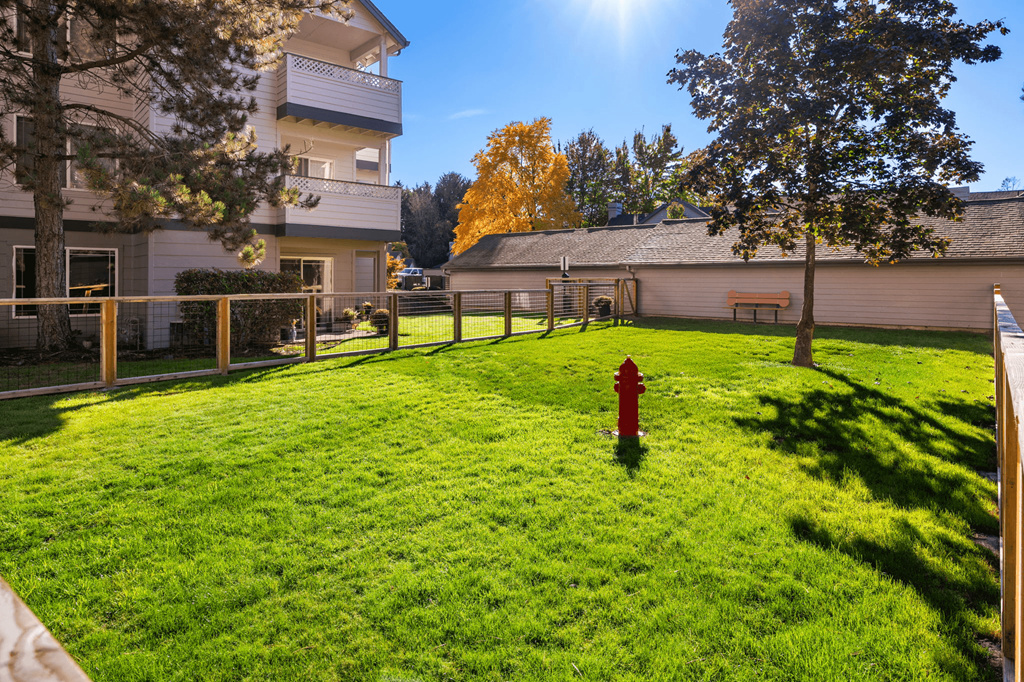 A red fire hydrant sits in the middle of a green lawn.
