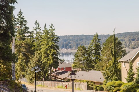 A street view of a residential area with houses and trees.