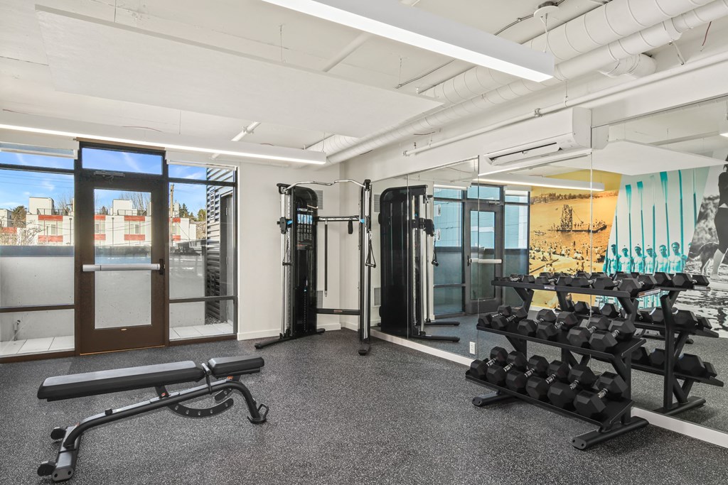 A gym with a bench, weights, and a window overlooking a city.