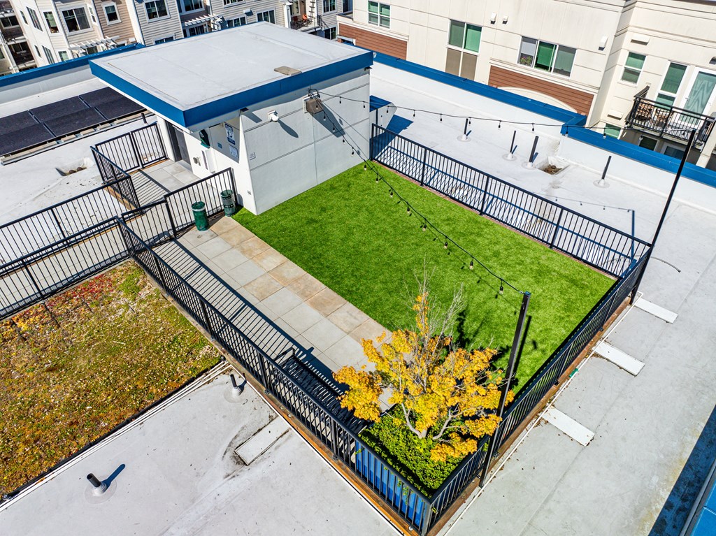 an aerial view of a dog park in the middle of a building