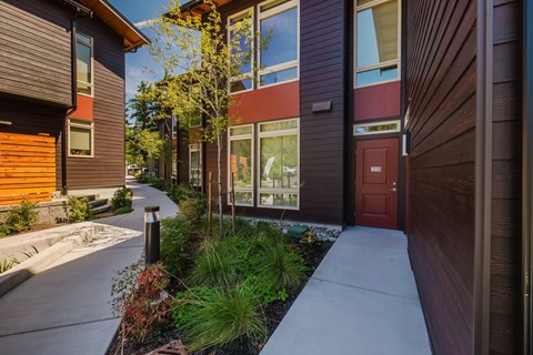 A modern residential area with a sidewalk and a row of houses.