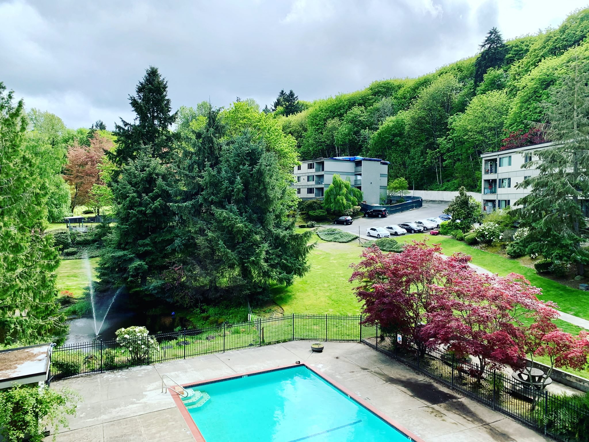 an aerial view of a swimming pool in a backyard with trees and buildings
