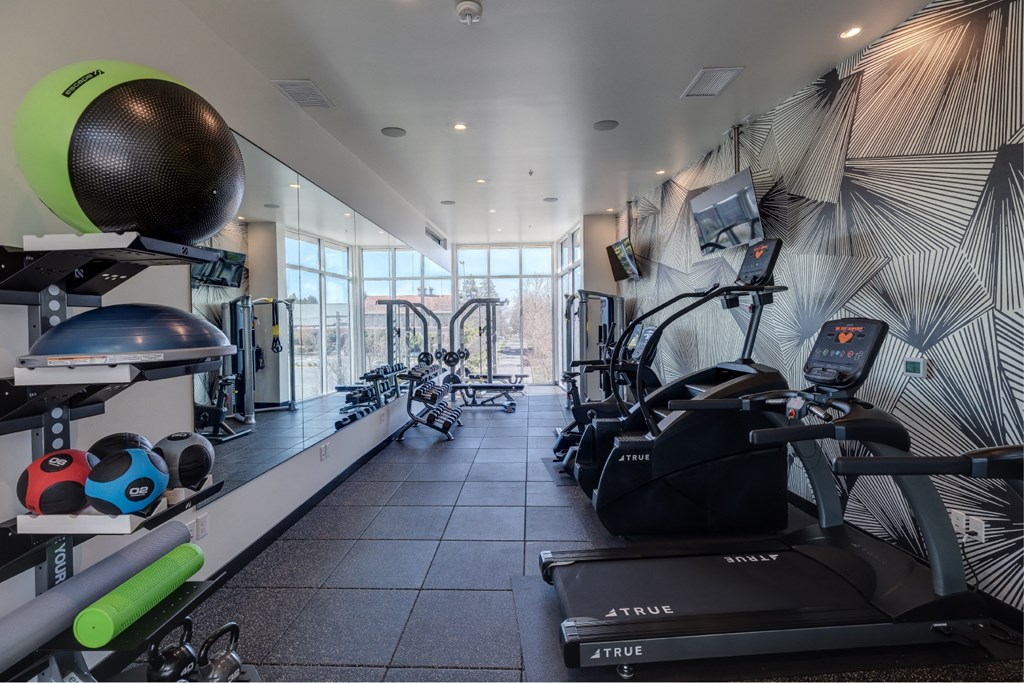 A gym with a variety of equipment including treadmills, exercise balls, and weights.