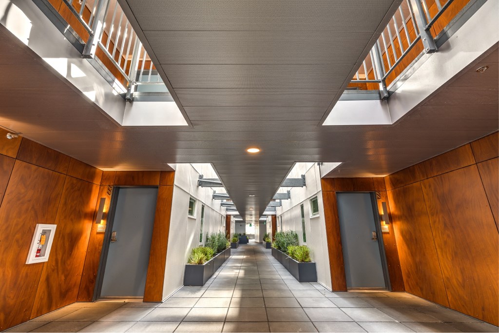 A long hallway with doors on both sides and plants in the middle.