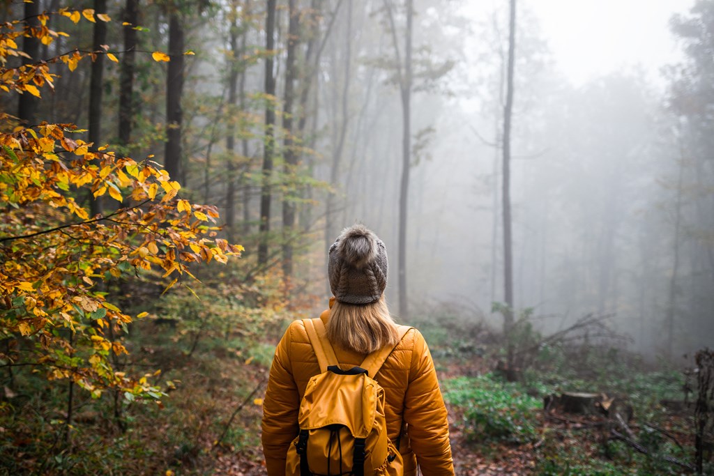 a woman in a yellow jacket and a backpack stands in a foggy forest