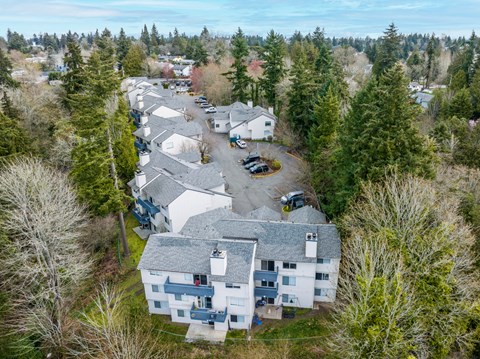 A bird's eye view of a residential area with houses and trees.