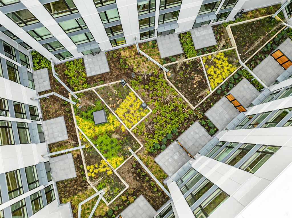 A green space surrounded by buildings.