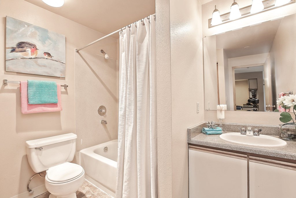 a bathroom with a shower toilet and sink and a mirror