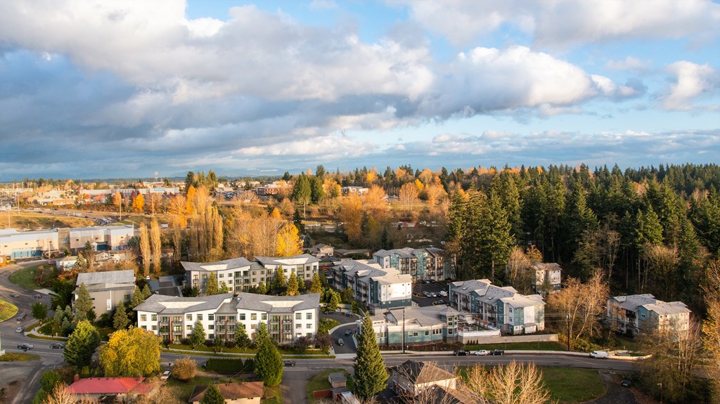 an aerial view of a city with houses and trees
