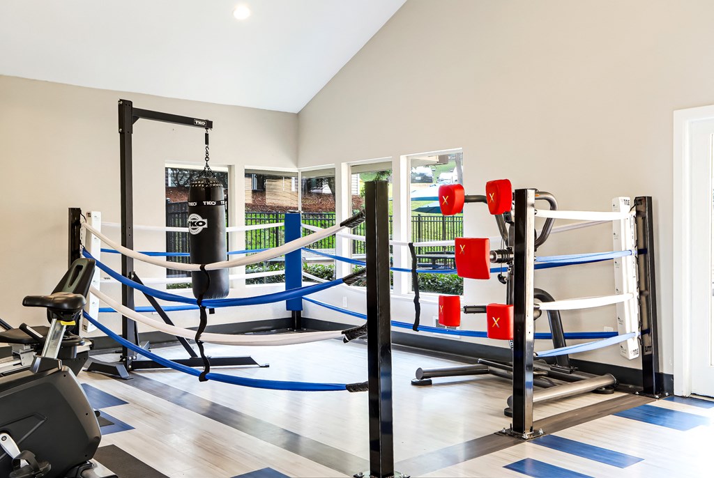 a gym with ropes and punching bags in a home gym