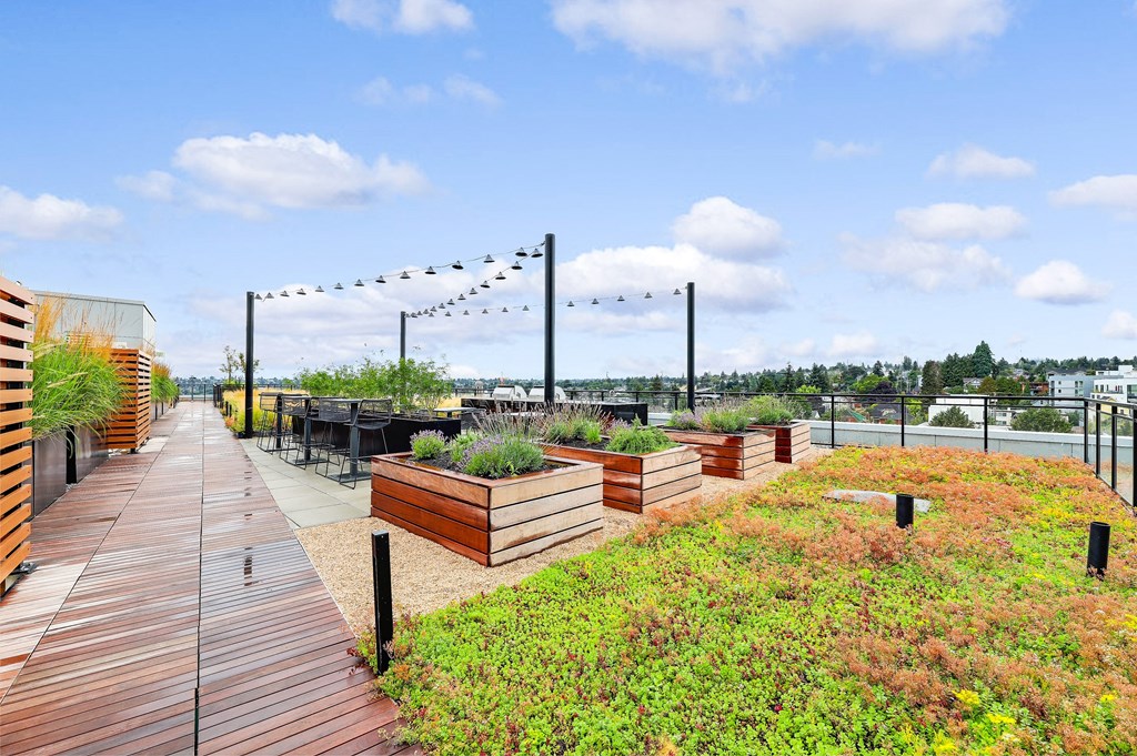 a roof terrace with wooden planters and grass