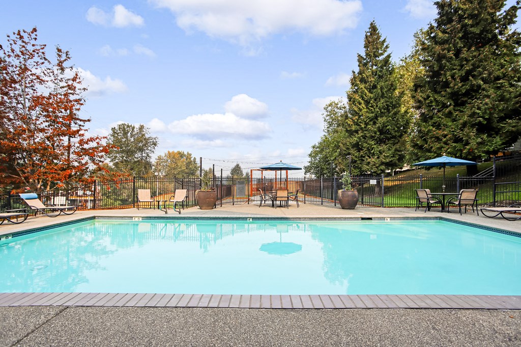 the swimming pool at our hotel
