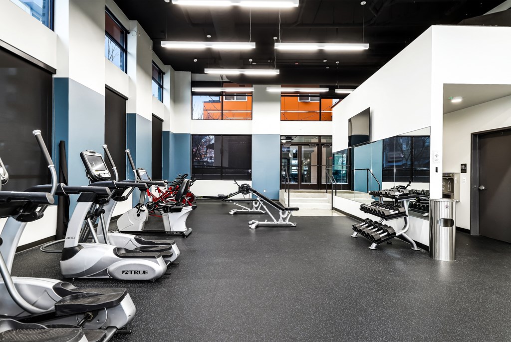 a gym with cardio machines and weights on the floor