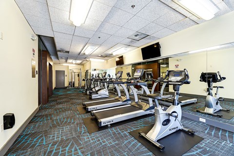 A gym with treadmills, elliptical machines, and other cardio equipment.