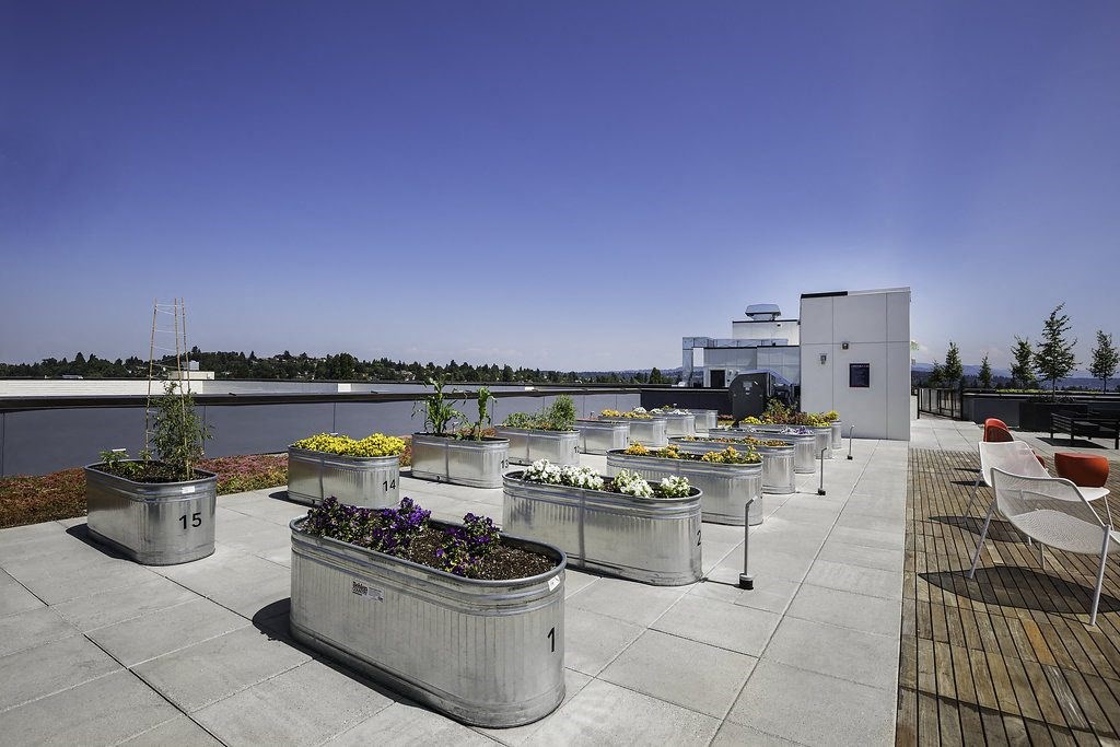 a row of galvanized tubs filled with flowers on a roof