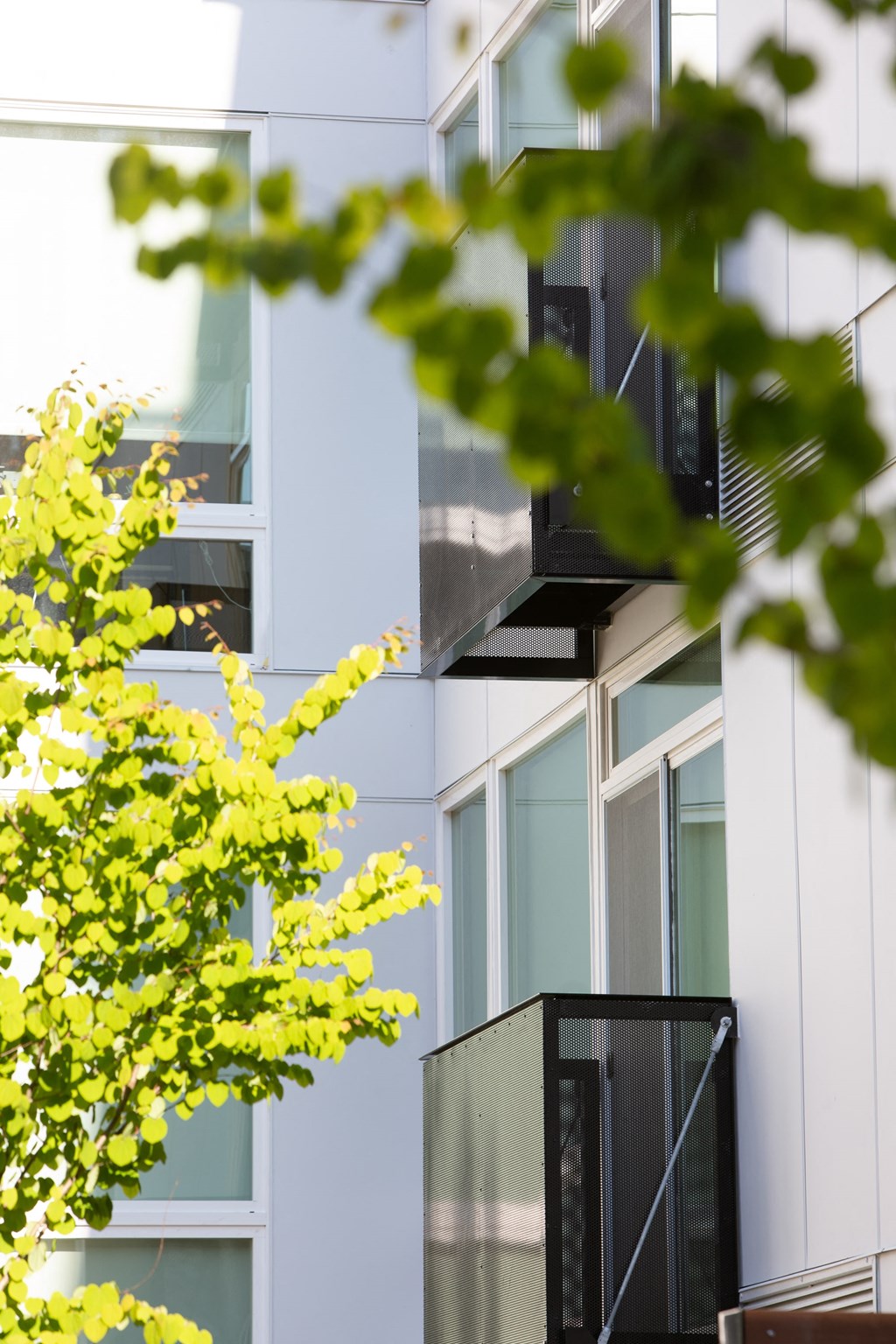 a close up of a building with a tree in the foreground