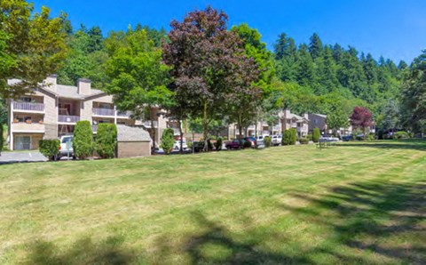 A grassy field with trees and apartment buildings in the background.