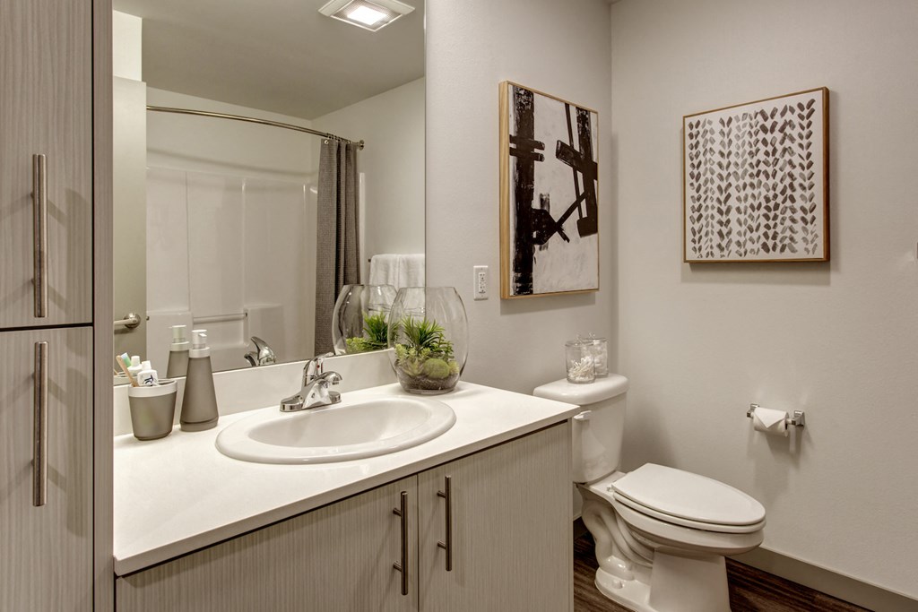 a bathroom with a sink and a toilet and a mirror