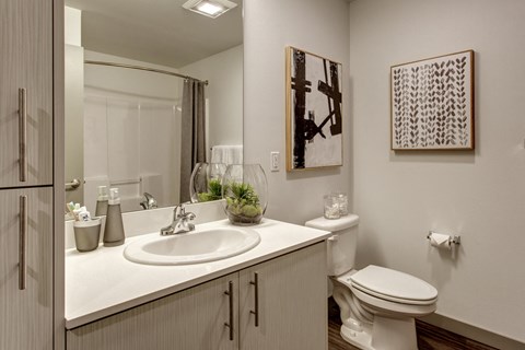 a bathroom with a sink and a toilet and a mirror