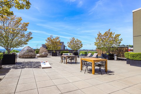 A patio with a table and chairs is surrounded by trees.