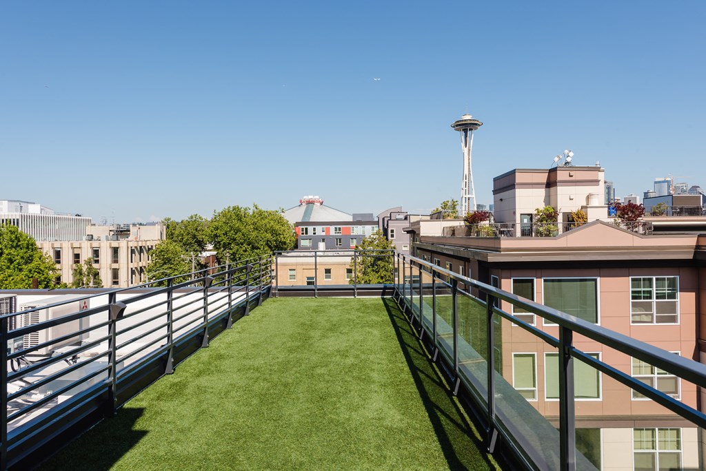 a grassy roof terrace with a view of the seattle space needle