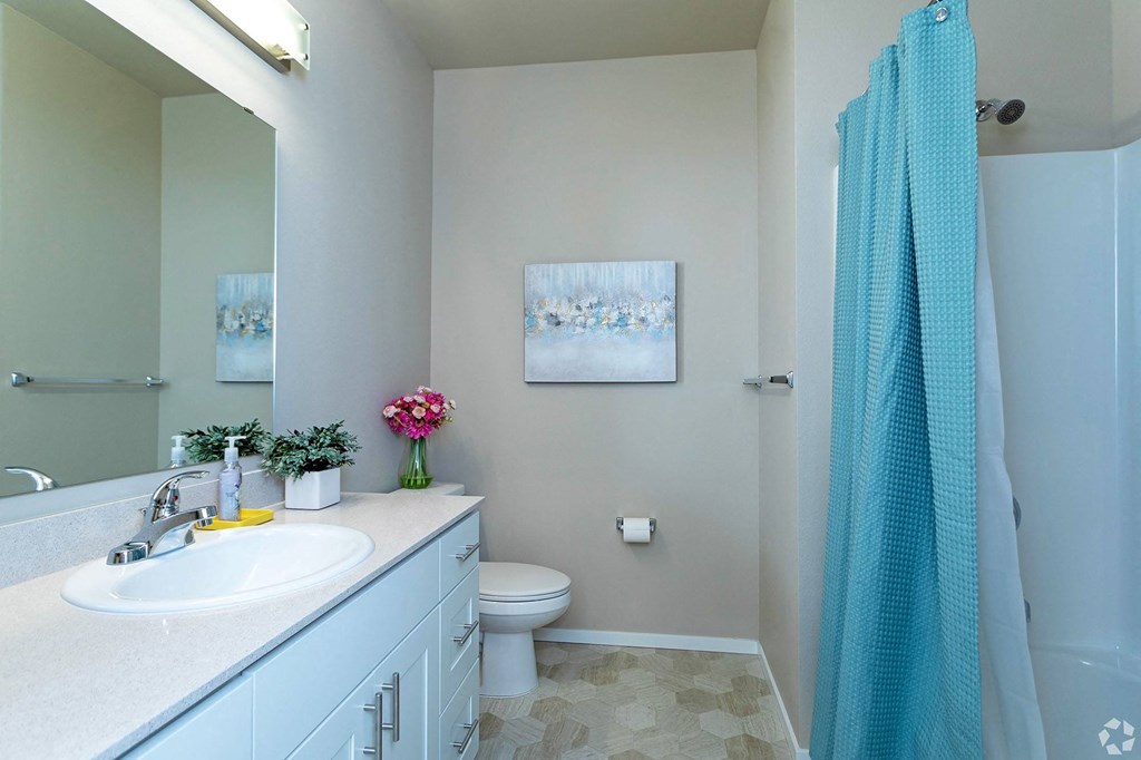 a bathroom with a white sink and toilet next to a blue shower curtain