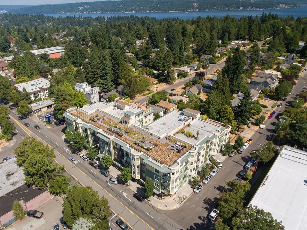 an aerial view of a building with a green roof