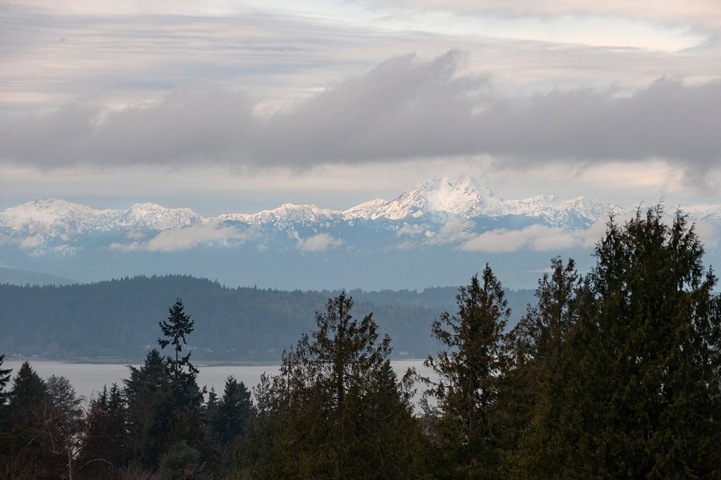 a view of the snow covered mountains in the distance with trees in the foreground