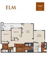 Elm