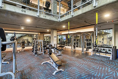 A gym with a variety of equipment including weights and cardio machines.