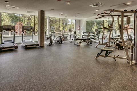 a gym with weights and other exercise equipment and windows