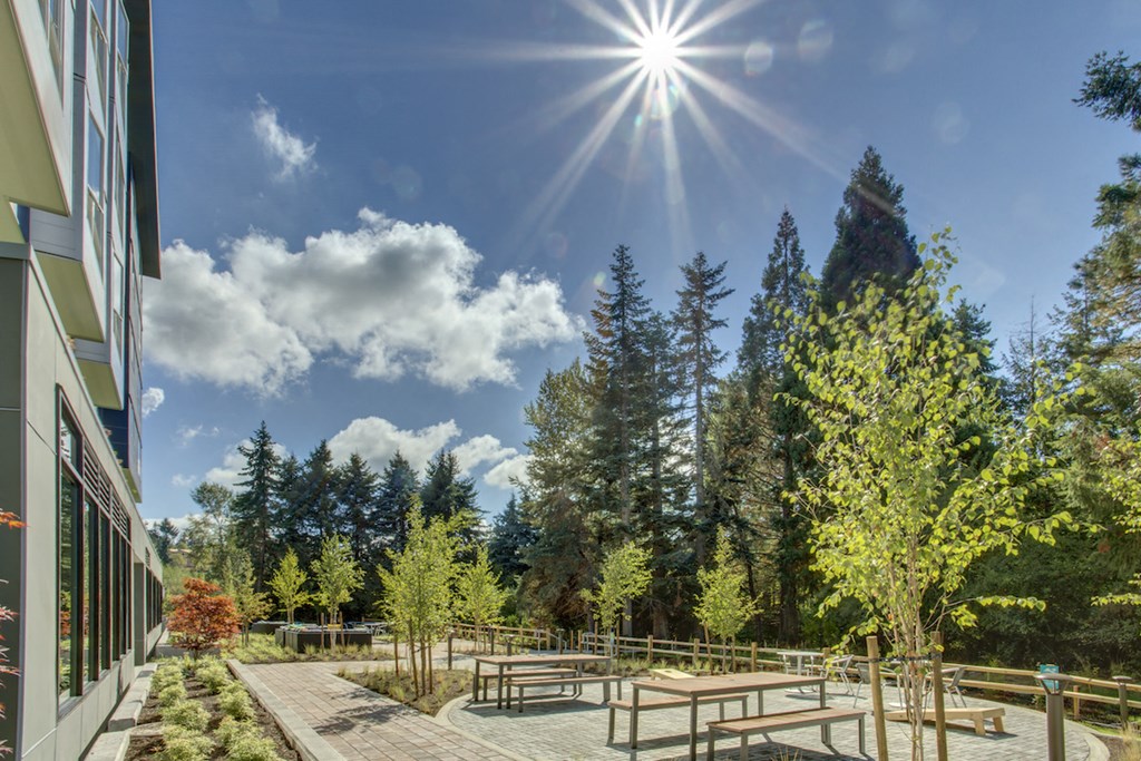 a park with picnic tables and trees next to a building