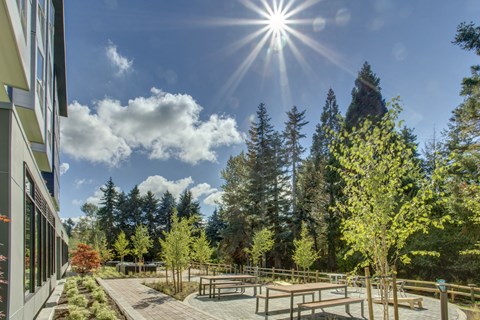 a park with picnic tables and trees next to a building