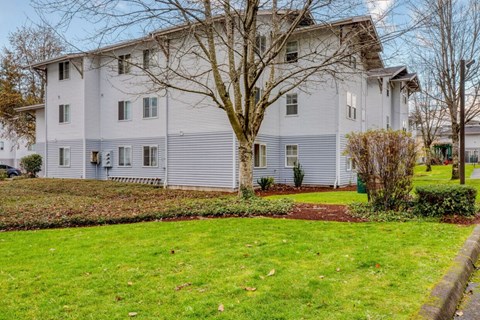 A large grey apartment building with a tree in front.