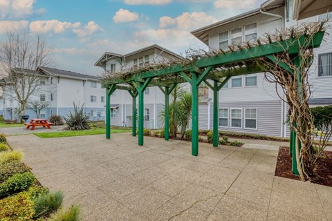 A green pergola is in the middle of a courtyard with a bench and plants.