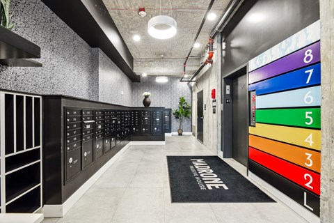 the locker room at the gym has a colorful rug and lockers