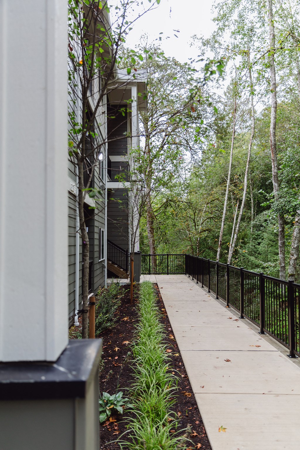 the walkway up to the house is lined with plants and trees