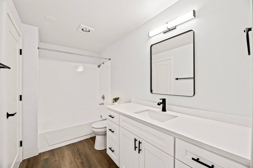 a bathroom with a sink and a mirror and a toilet