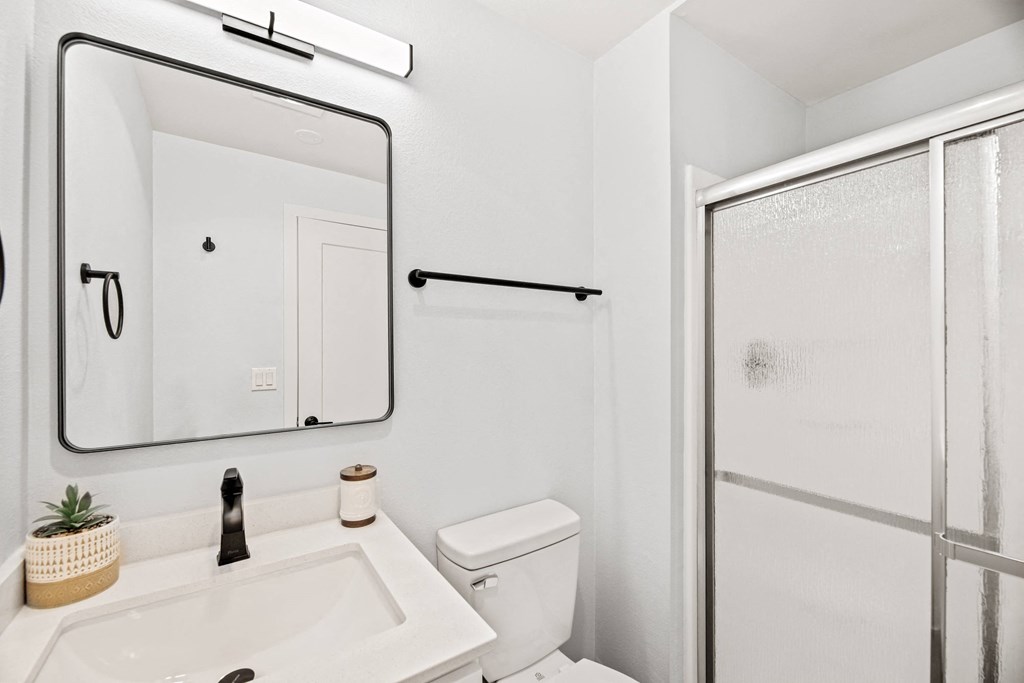 a bathroom with a sink and a mirror and a shower
