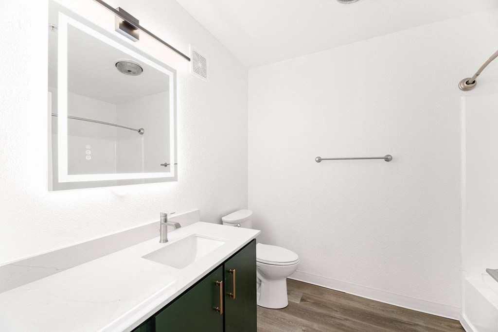 a bathroom with a sink and a toilet and a mirror