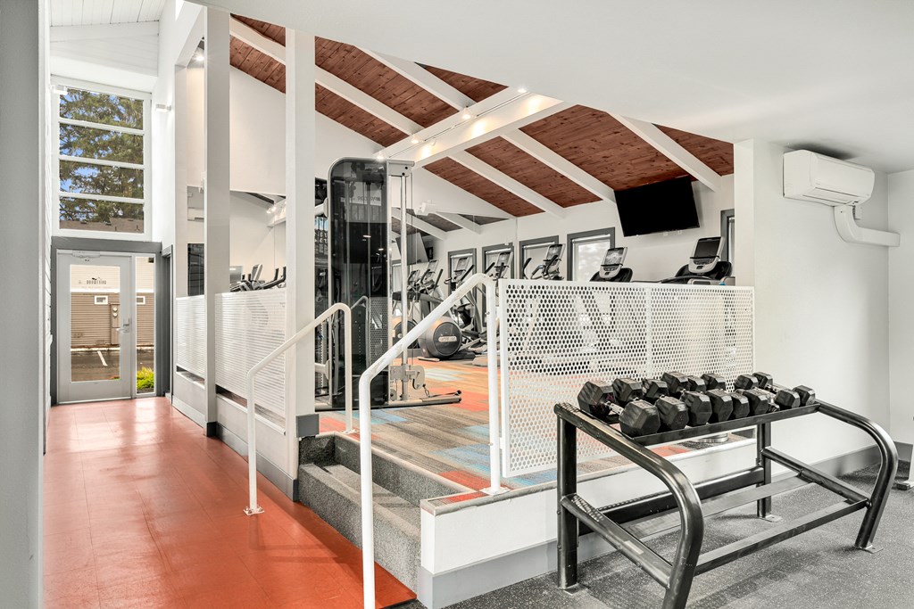 a gym with a rack of dumbbells and a screen on the wall