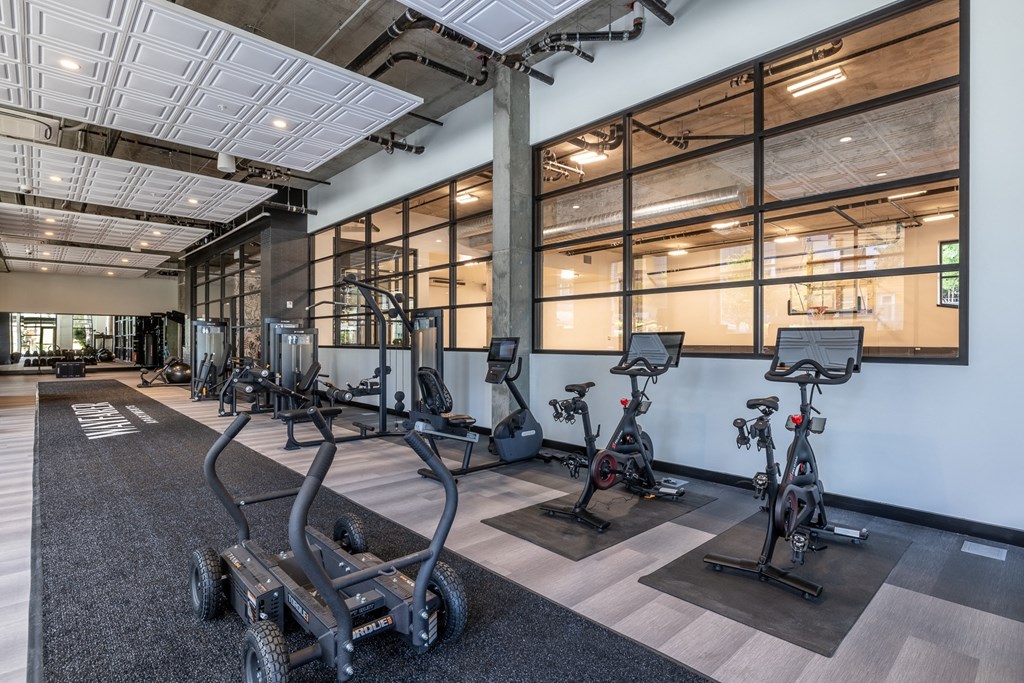 a gym with weights machines and glass walls