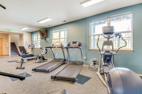 the gym is equipped with cardio equipment for your workouts