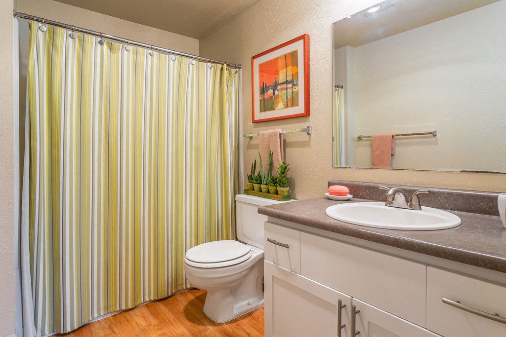a bathroom with a striped shower curtain and a toilet and sink